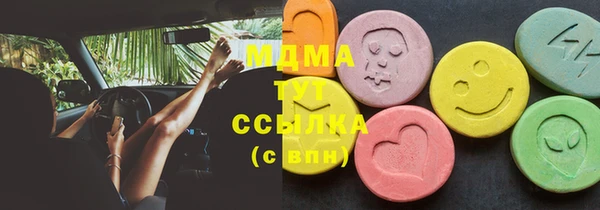 индика Алексин