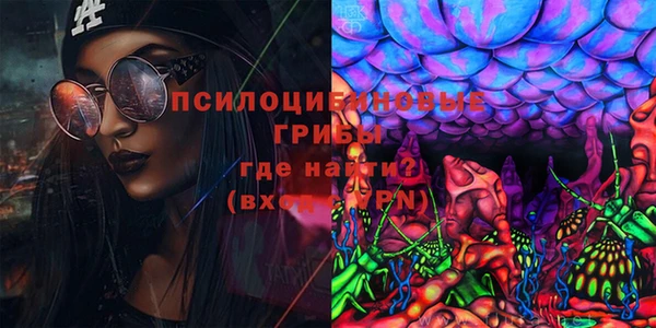 индика Алексин