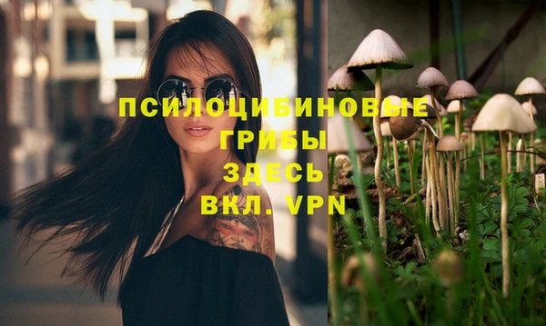 индика Алексин