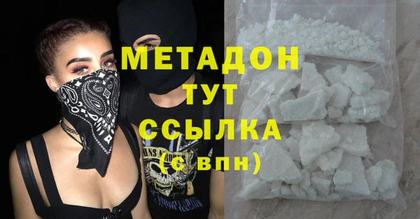 индика Алексин