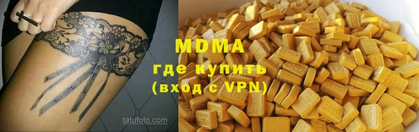 индика Алексин